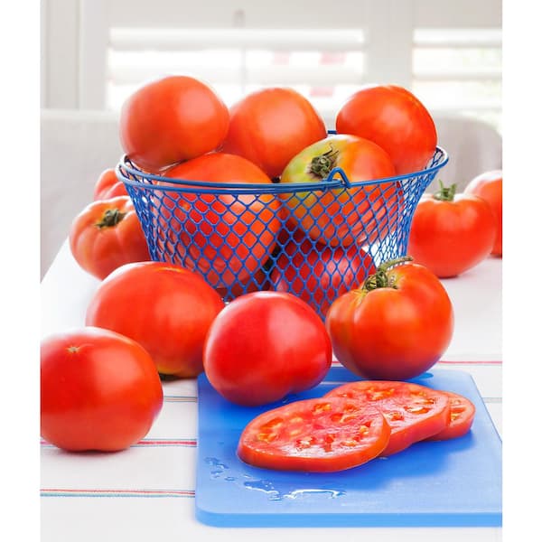 Jet Star Tomato – Bonnie Plants