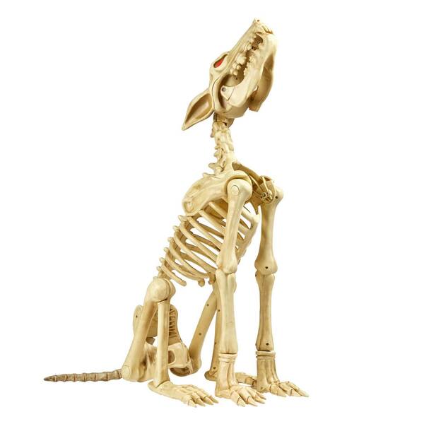 Halloween Wolf Skeleton 2022 Home Accents Holiday 2 5 Ft Animated Skeleton Wolf With Led Eyes 21pa30050 The Home Depot