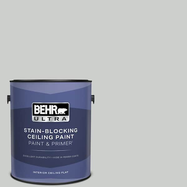 1 gal. #N460-2 Planetary Silver Ceiling Flat Interior Paint with Primer