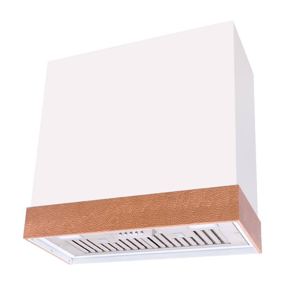 Akicon 30 in. 600 CFM Ducted Wall Mount Range Hood with Push Control, LED Lights and Charcoal Filter, in White with Copper