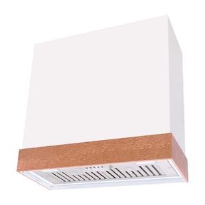 30 in. 600 CFM Ducted Wall Mount Range Hood with Push Control, LED Lights and Charcoal Filter, in White with Copper