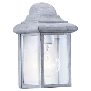 Mullberry Hill 1-Light Pewter Outdoor Wall Lantern Sconce