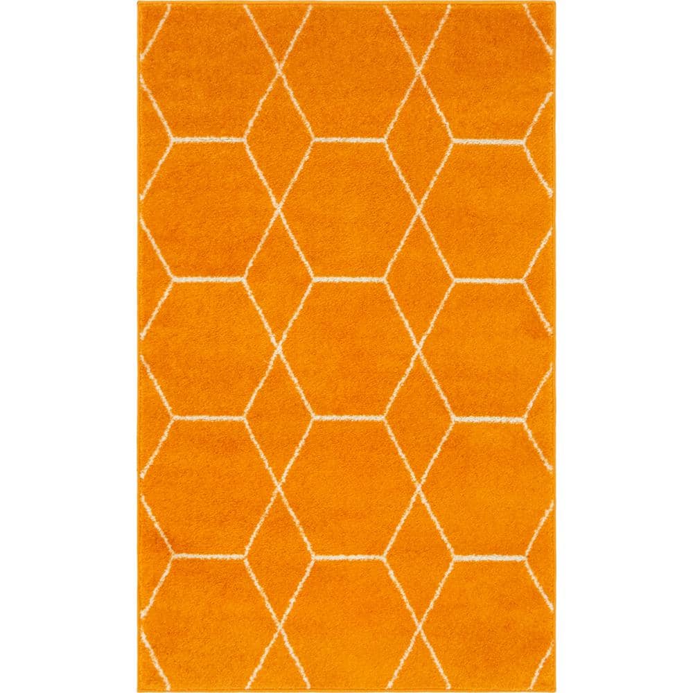 Trellis Frieze Orange Synthetic 3'3" x 5'3" Rectangular Rug