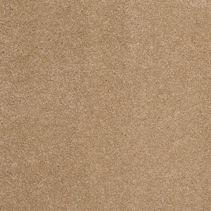 Coral Reef I - Gold Nugget - Brown 65.5 oz. Nylon Texture Installed Carpet
