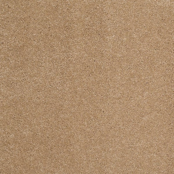 Lifeproof Coral Reef II - Gold Nugget - Brown 93.6 oz. Nylon Texture Installed Carpet