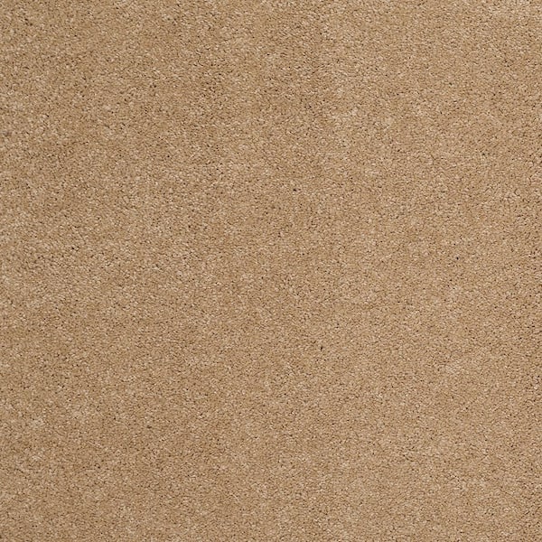 Coral Reef II - Gold Nugget - Brown 93.6 oz. Nylon Texture Installed Carpet