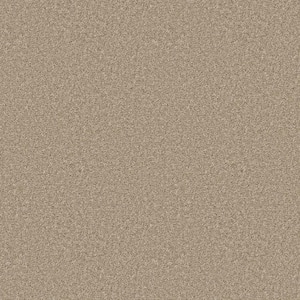 Enchanted - Color Fawnwood 61 oz. Polyester Texture Brown Installed Carpet