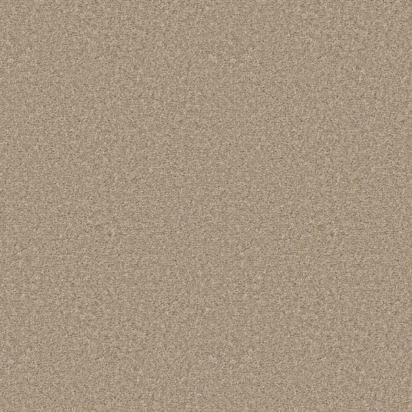 Home Decorators Collection Enchanted - Color Fawnwood 61 oz. Polyester Texture Brown Installed Carpet