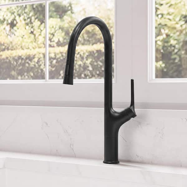 20.2 in. Single Handle 360° Swivel Pull Down Sprayer Kitchen Faucet with Advanced Spray in Matte Black