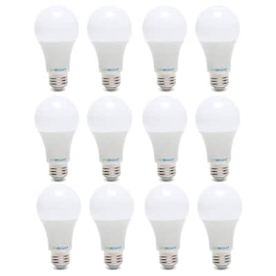 100-Watt Equivalent Soft White (2700K) A19 E26 Base LED Light Bulbs (12-Pack)