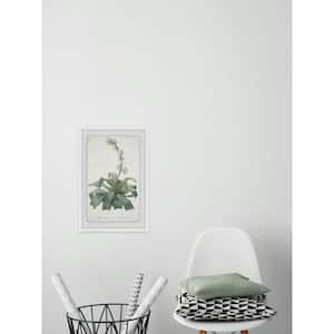 18 in. H x 12 in. W "Aletris Fragrans" by Marmont Hill Framed Printed Wall Art