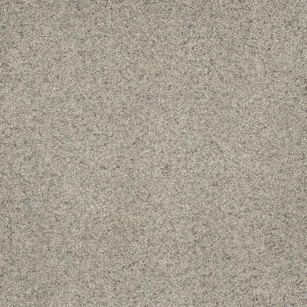 Home Decorators Collection 8 in. x  8 in. Texture Carpet Sample - Bradmore I -Color Trail
