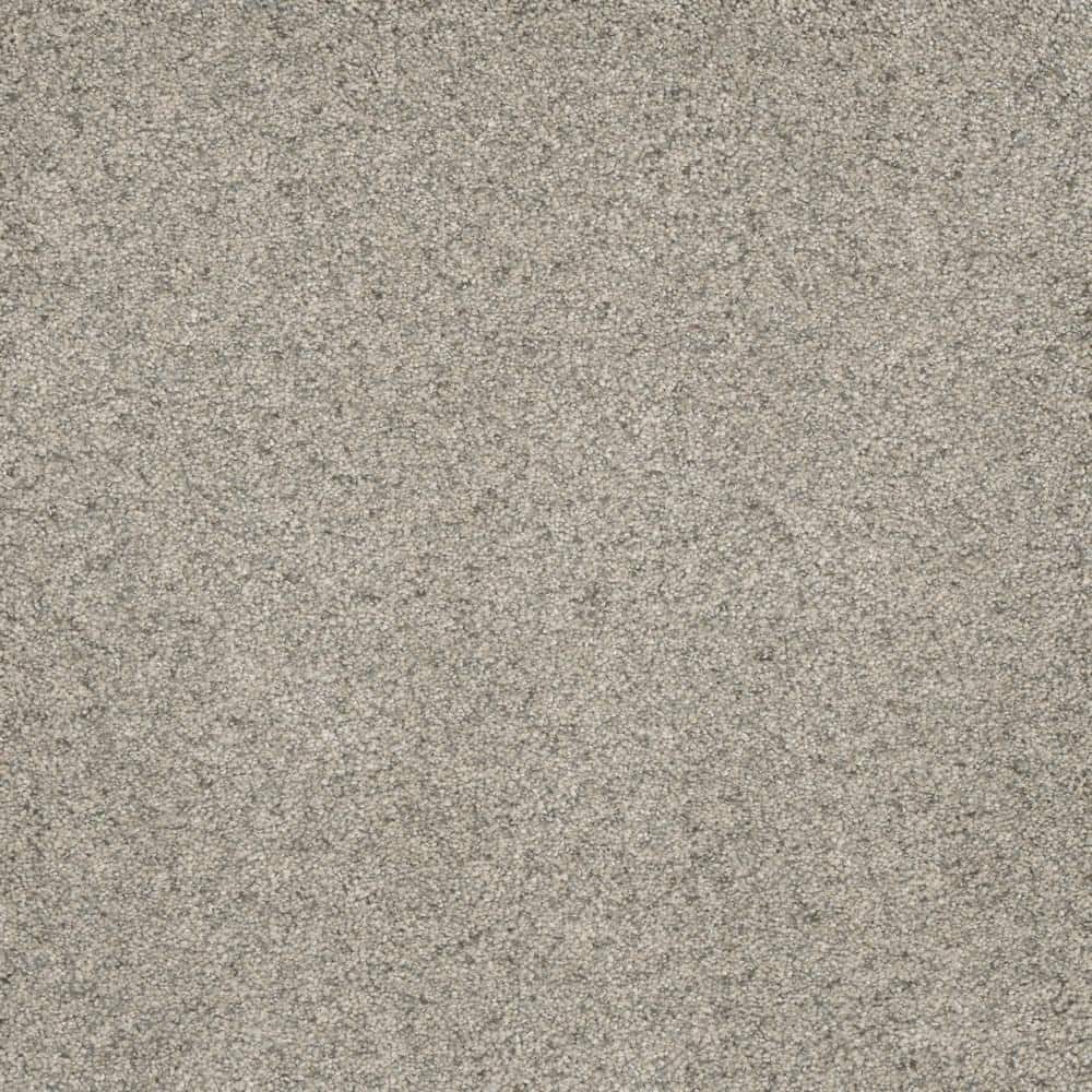 8 in. x  8 in. Texture Carpet Sample - Bradmore II -Color Trail price history on PriceWatchPro