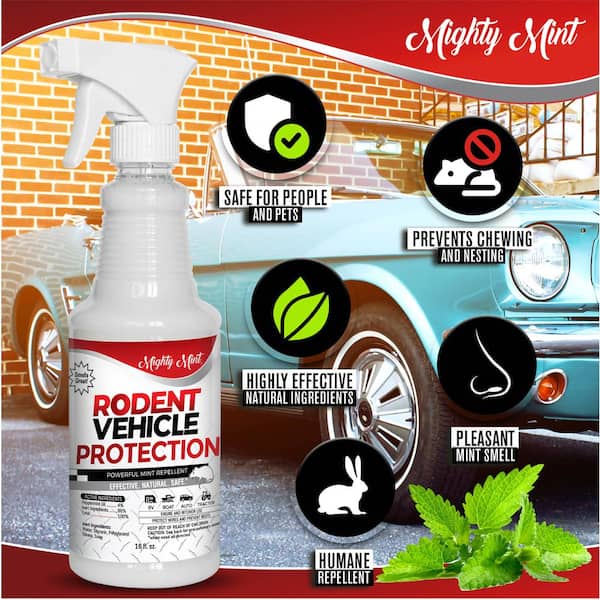 Zero In Moth Balls Clothes Spray and Hanging Moth Killer - Pest Control Hub
