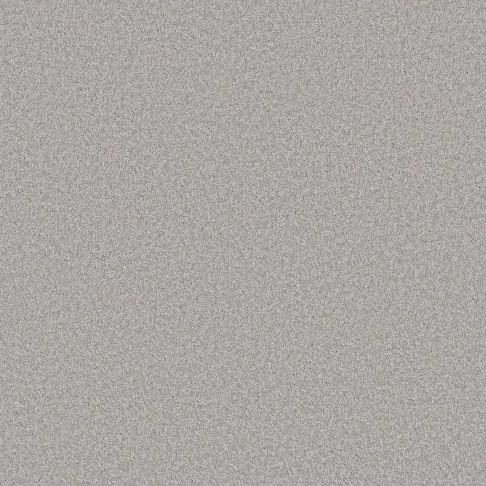 8 in. x 8 in. Texture Carpet Sample - Vignette Velvet I - Color Blustery Sky price history on PriceWatchPro