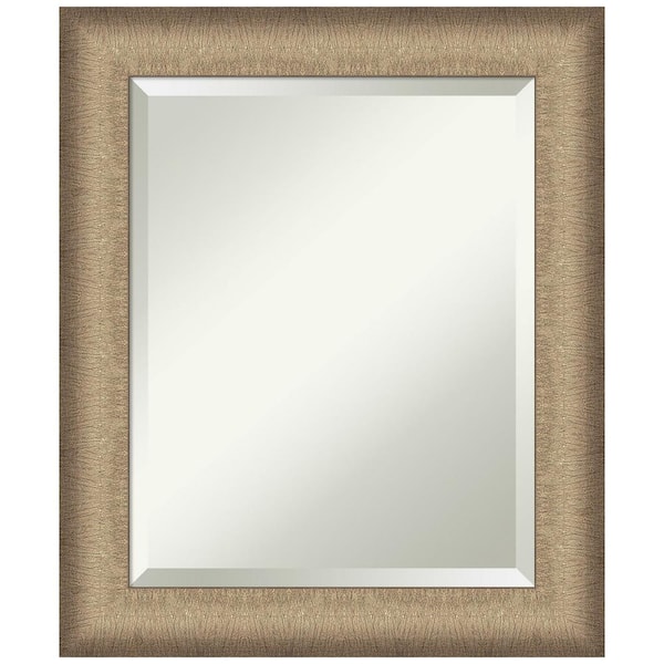 Amanti Art Elegant Brushed Bronze 20.75 in. H x 24.75 in. W Framed Wall Mirror