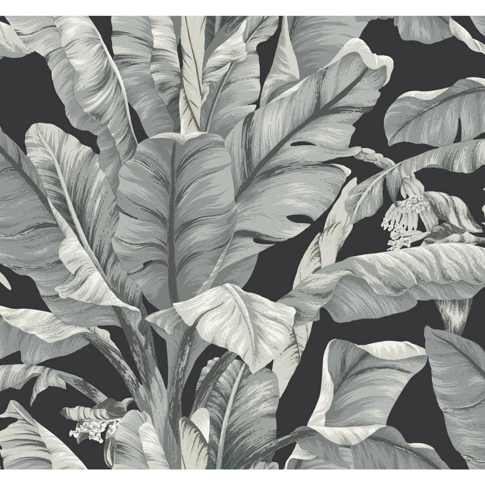 Leaves on black wallpaper by EykaaMikkaa  Download on ZEDGE  19b8