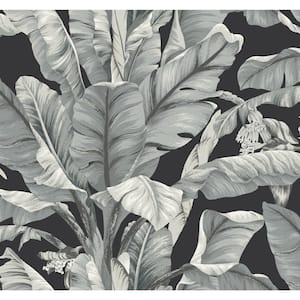 60.75 sq.ft. Black Banana Leaf Wallpaper