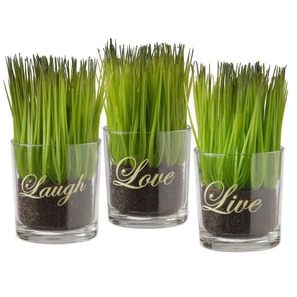 National Tree Company Artificial Assortment-Small Glass Cup Printed Live, Laugh and Love (Set of 3)