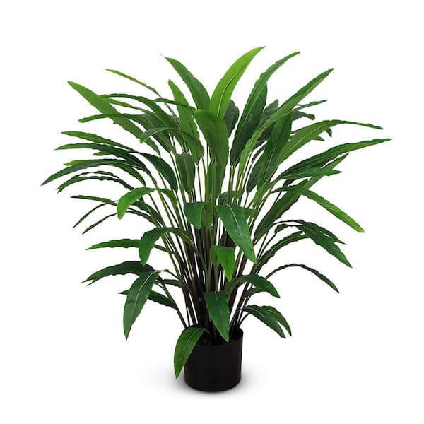 Unbranded Botanical 3.3 ft. Artificial Calathea in Pot