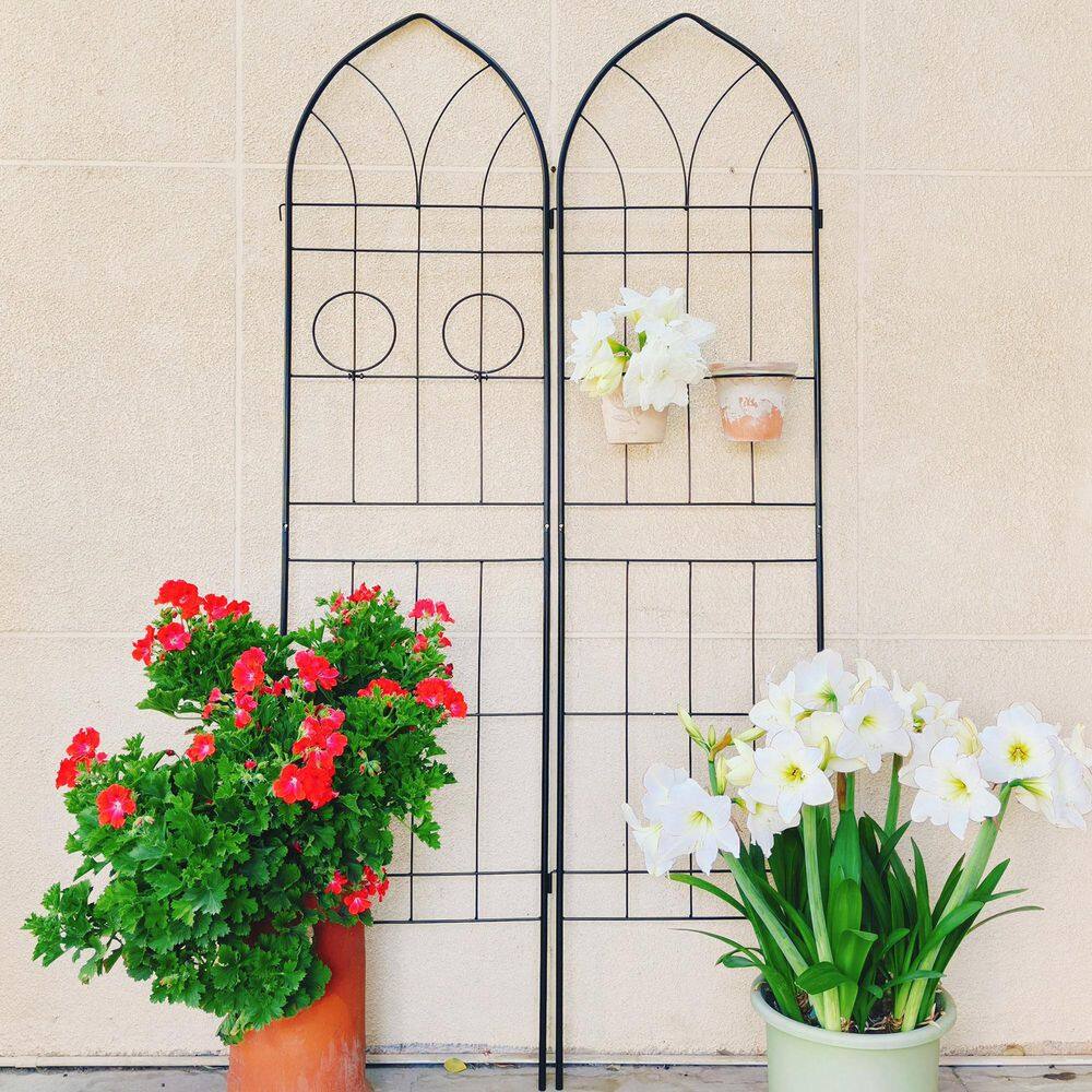 78.7 in. Black Metal Garden Trellis for Climbing Plants Rustproof Outdoor Flower Support (2-Pack) price history on PriceWatchPro
