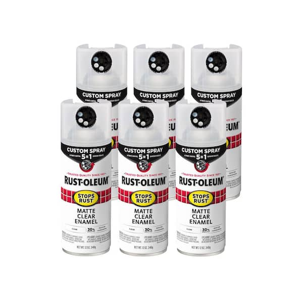 12 oz. Custom Spray 5-in-1 Matte Clear Spray Paint (Case of 6)