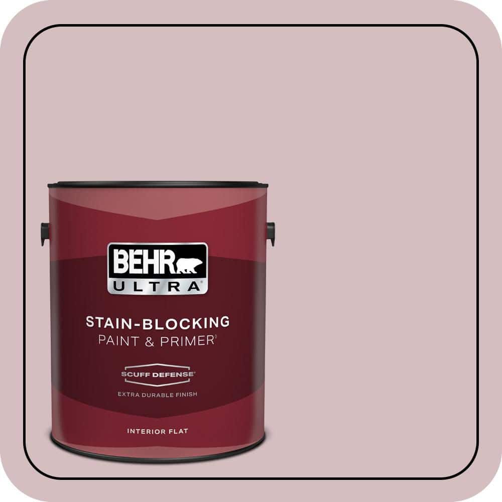 1 gal. #PPU17-09 Embroidery Extra Durable Flat Interior Paint & Primer price history on PriceWatchPro