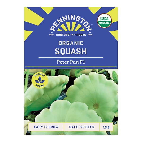 Organic Peter Pan F1 Squash Fruit Seeds