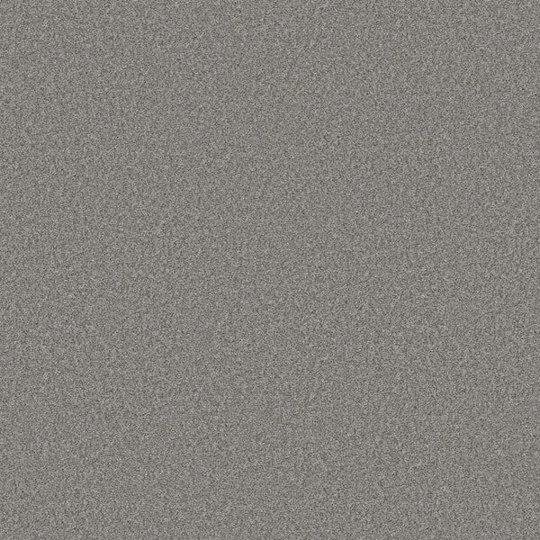 Lifeproof Rosemary III - Sombre-Gray 12 ft. 66 oz. High Performance Polyester Texture Installed Carpet