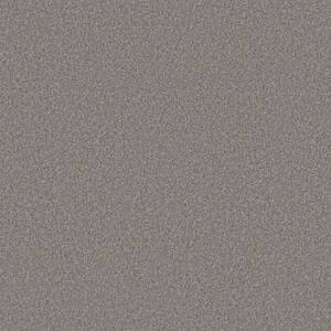 Rosemary I - Sombre-Gray 12 ft. 42 oz. Polyester Texture Installed Carpet