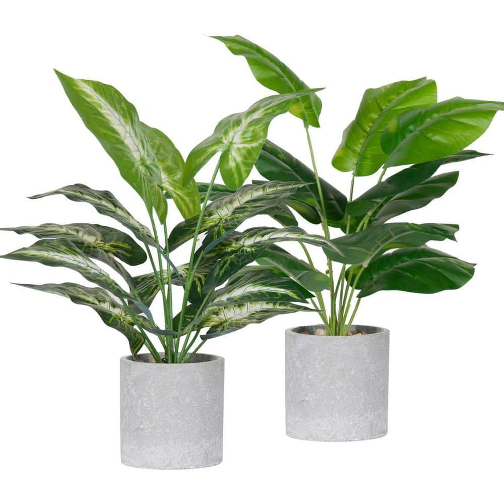16 in. Artificial Sage Green Indoor Outdoor Tropical Plant 2 Pack for Home Office Desk Living Room Decoration price history on PriceWatchPro
