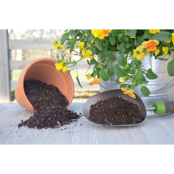 What is potting compost and do you need it?