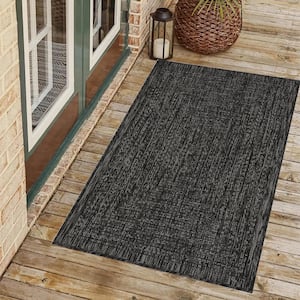 Viola Black 2 ft. x 3 ft. Indoor/Outdoor Area Rug