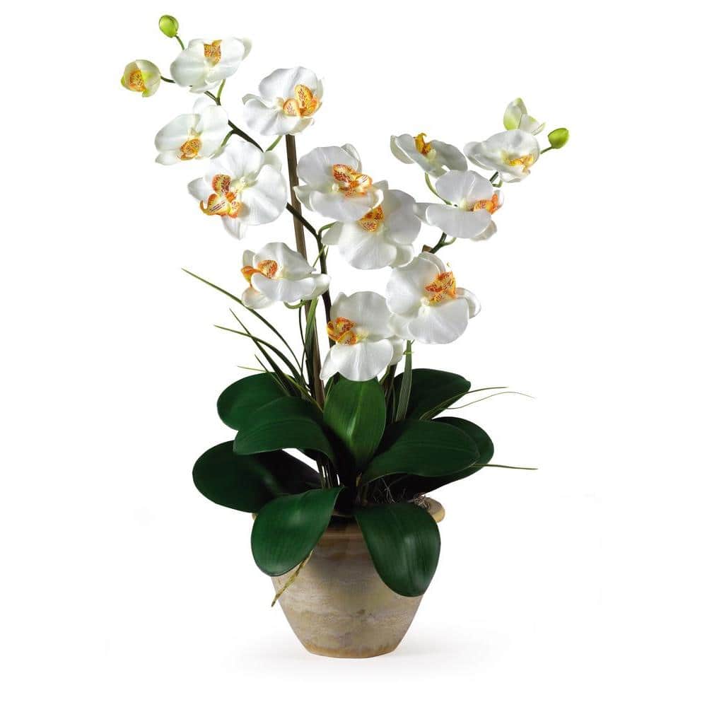 Phalaenopsis Artificial Orchid in White Bowl 25cm Cream 