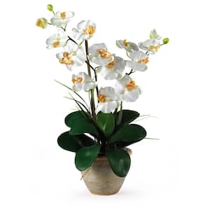 25 in. Artificial Double Stem Phalaenopsis Silk Orchid Flower Arrangement