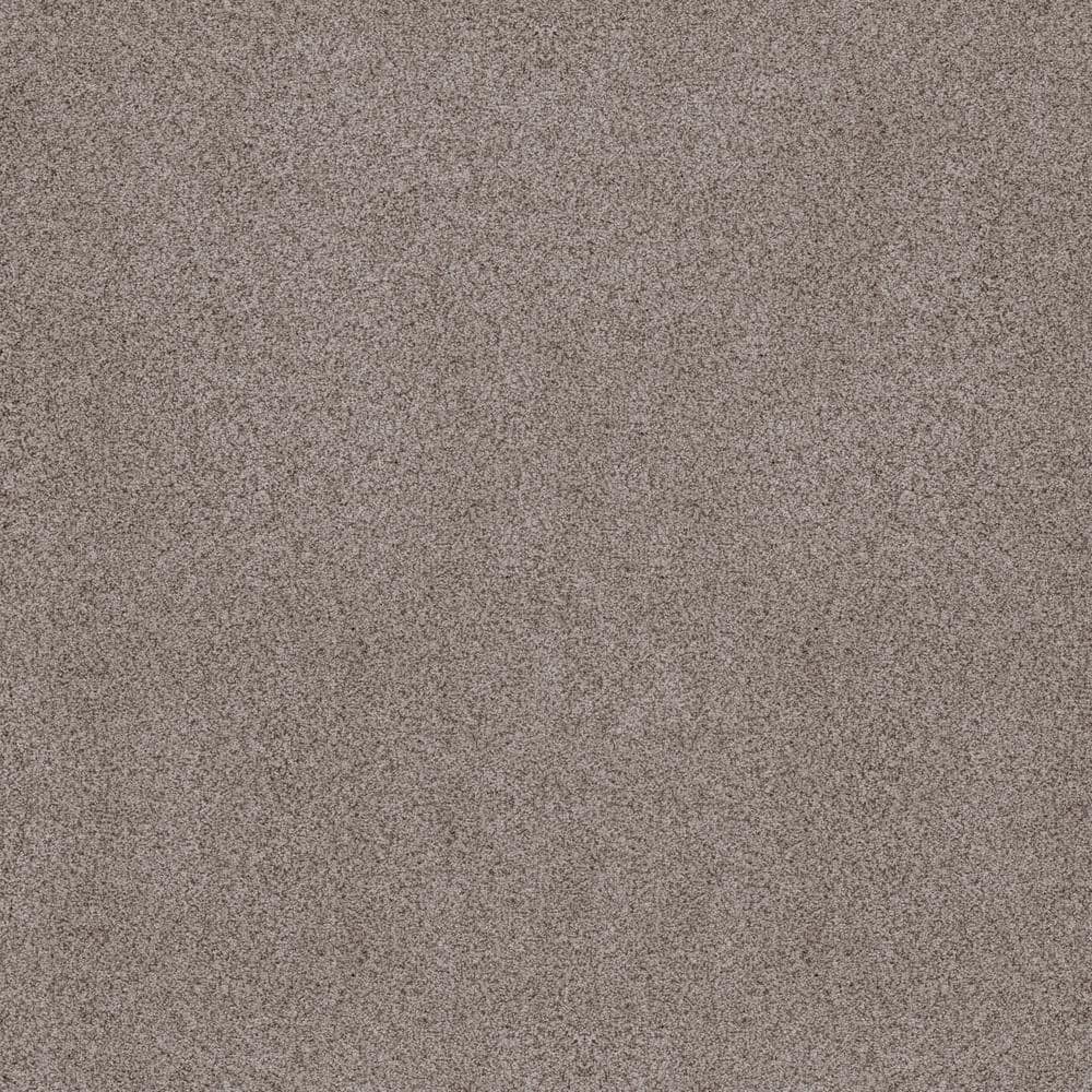 8 in. x 8 in. Texture Carpet Sample - Sand Dunes II - Color Finn price history on PriceWatchPro