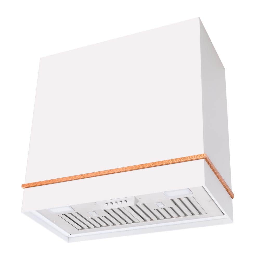 30 in. 600 CFM Ducted Wall Mount Range Hood with Push Control, LED Lights and Charcoal Filter, in White with Copper