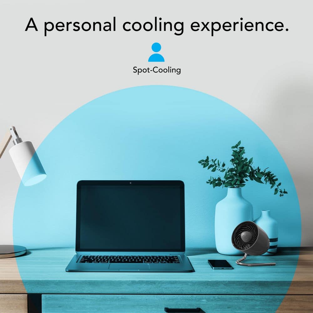 Storm Gray Oscillating Desk Fan with Three Speeds