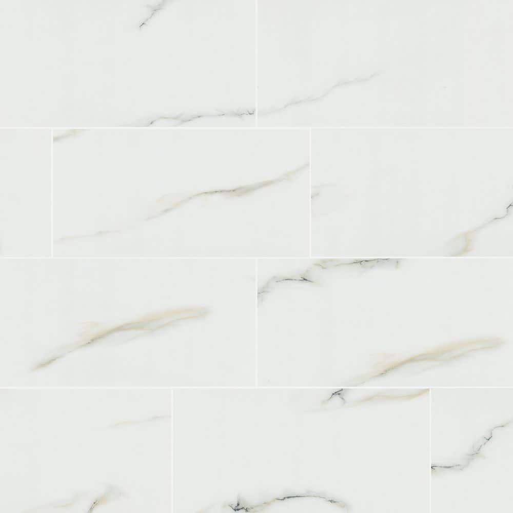 Alvara Bianco 12 in. x 24 in. Polished Porcelain Floor and Wall Tile (704 sq. ft./Pallet) price history on PriceWatchPro
