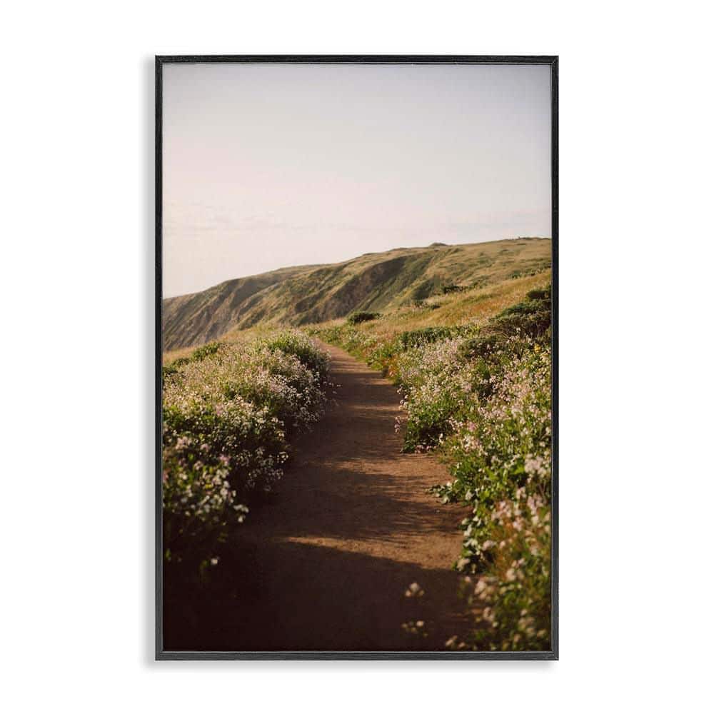 Path by Beach Coast by Crystal Lynn Collins Black Framed Nature Giclee Art Print 18 in. x 12 in. price history on PriceWatchPro