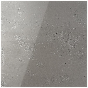 Brenta Gray 24 in. x 24 in. x 10 mm Polished Porcelain Floor and Wall Tile (3-Piece/11.62 sq. ft./Case)