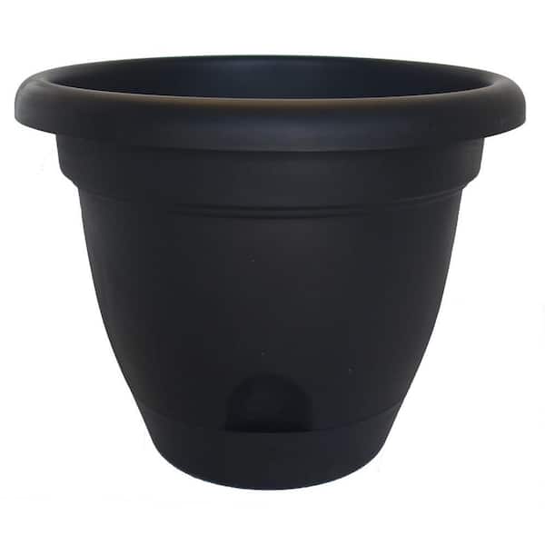 Bloem Lucca 8.75 in. Black Plastic Self-Watering Planter with Saucer