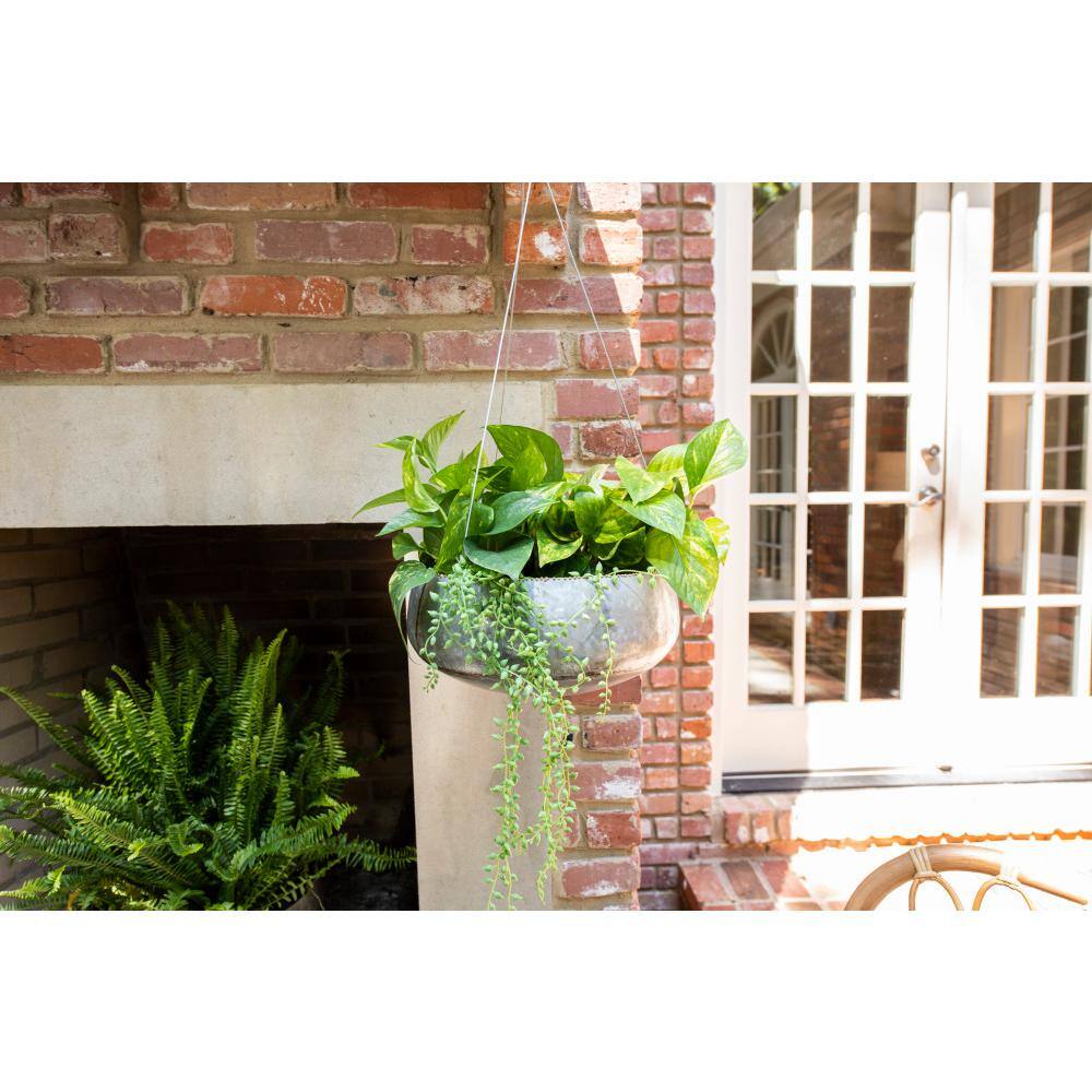 Round Galvanized Metal Hanging Planter with Gold Accents