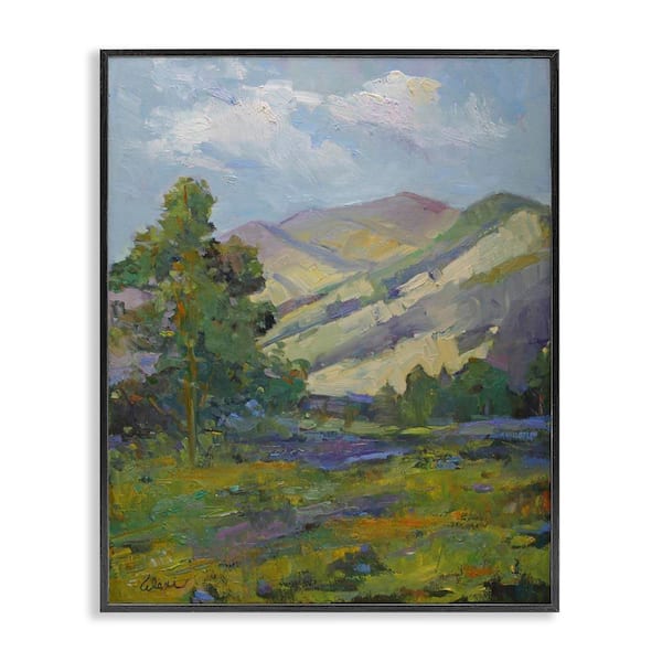 Stupell Industries Spring Day Mountain by Alexi Fine Black Framed Nature Giclee Art Print 14 in. x 11 in.