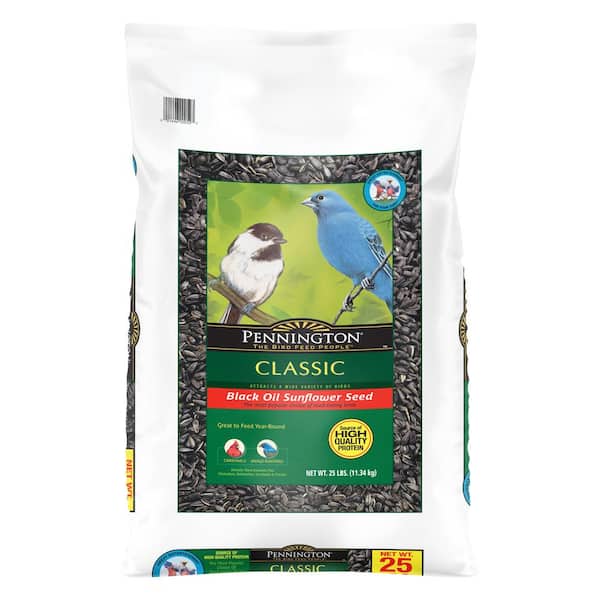 Pennington 25 lbs. Black Oil Sunflower Bird Seed Food 515624 The Home Depot