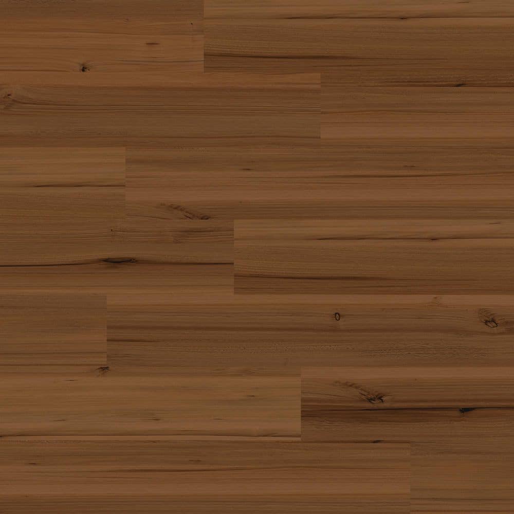 Home Decorators Collection Berewick Eucalyptus 20 MIL x 7.1 in. W