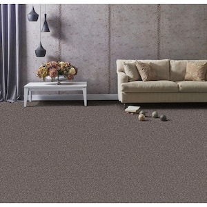 Founder - Pioneer - Brown 18 oz. SD Polyester Texture Installed Carpet