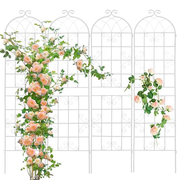 TUYOHW Generic Metal Garden Trellis for Climbing Plants, 19.7" L x 86.7" H for Vines Plant Rose Support Trellis (White, 4 Pack)