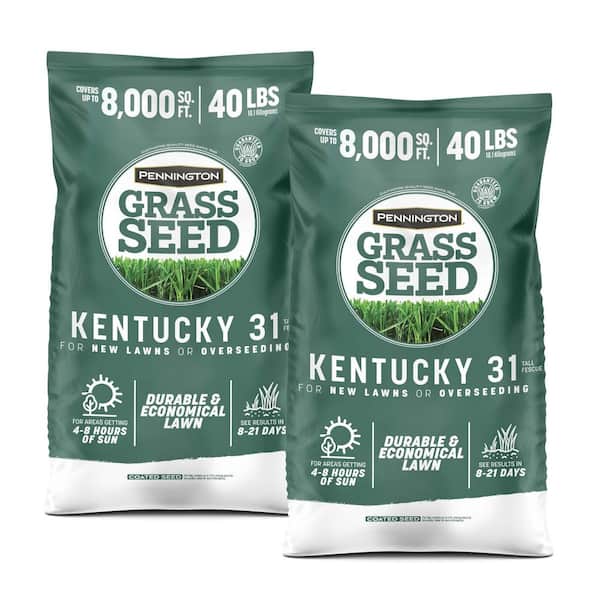 Kentucky 31 Tall Fescue 40 lb. 8,000 sq. ft. Grass Seed (2-Pack)