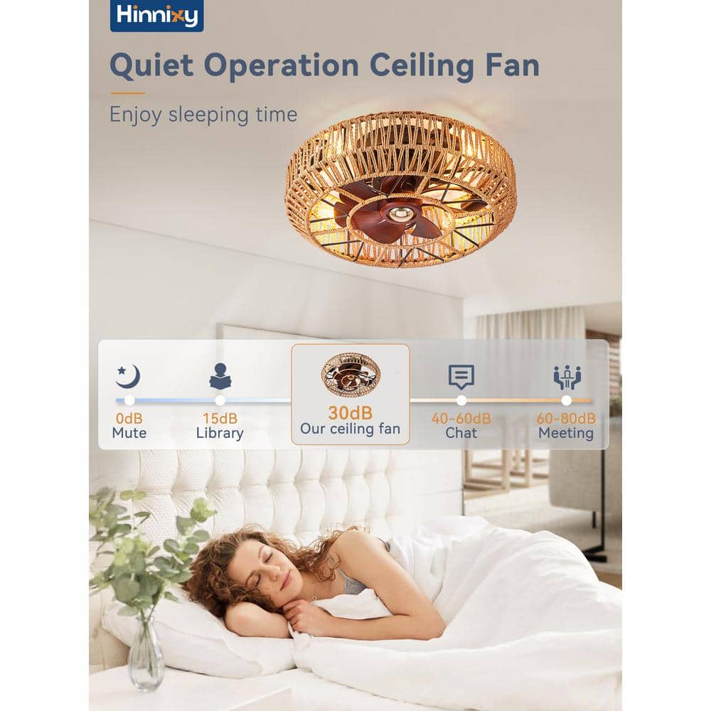 20'' Boho Rattan Caged Ceiling Fan with Remote and Light